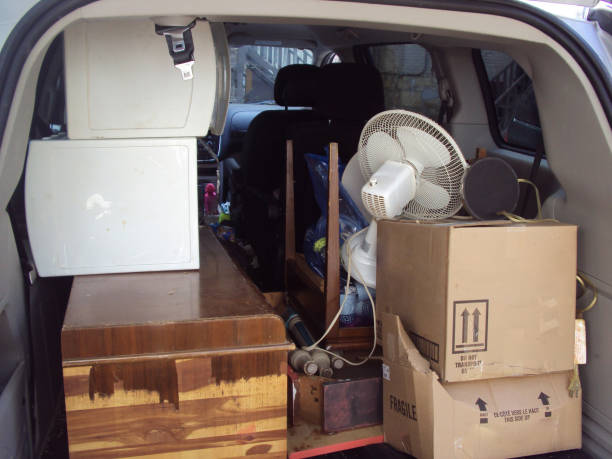 Best Yard Waste Removal  in Eerlin, ND